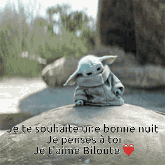 a baby yoda is sitting on top of a rock with a message in french