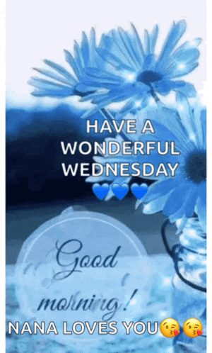 a picture of blue flowers with the words have a wonderful wednesday