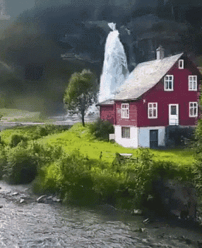 Home River GIF - Home River Trees GIFs