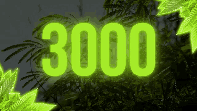 the number 3000 is glowing brightly in the dark