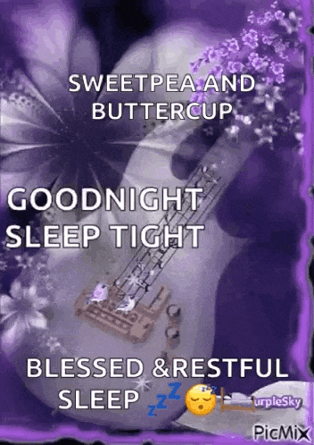 a goodnight sleep tight greeting card with a guitar and flowers on a purple background .