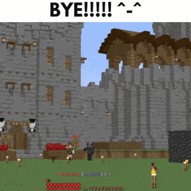 a screenshot of a minecraft game with the words bye