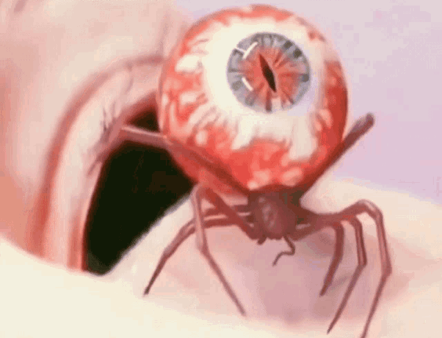 a spider with an eye on its head is crawling on a person 's arm
