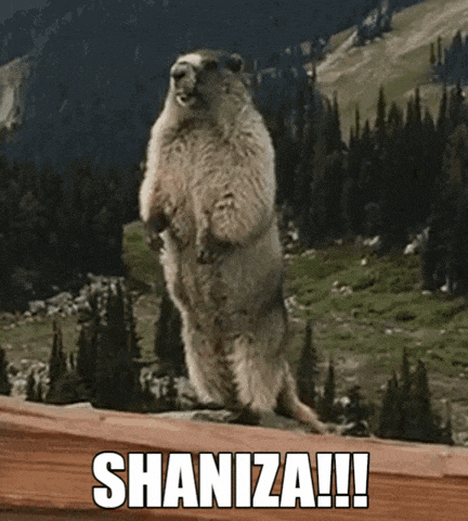 a ground squirrel is standing on its hind legs with the words shaniza written on the bottom
