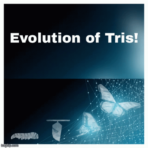 Tris Triscuit GIF - Tris Triscuit Trizitaa GIFs