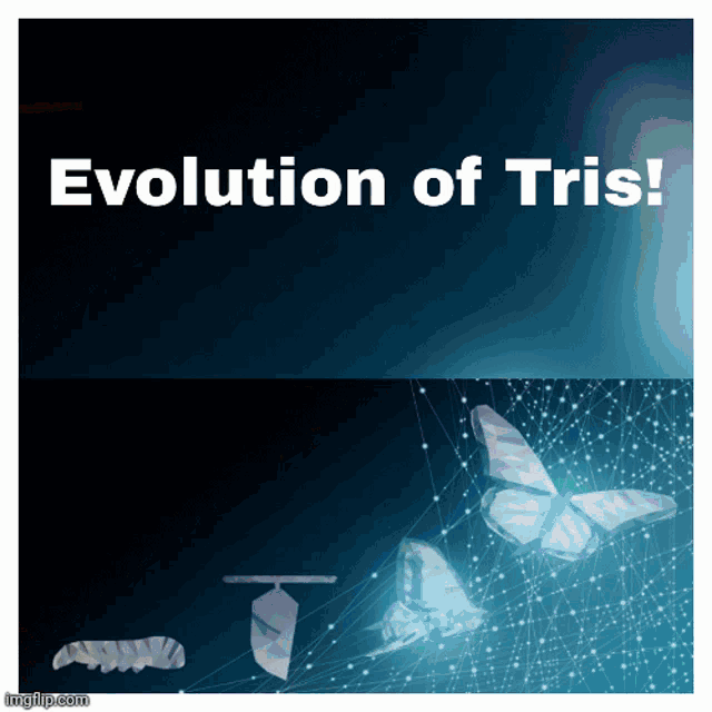a poster that says evolution of tris with a butterfly