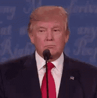 Trump Correct GIF - Trump Correct Right GIFs