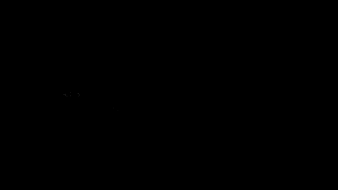 a logo for chicago dance crash with a bird on it
