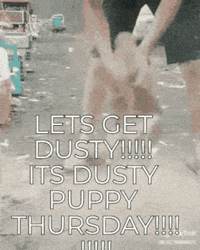 Dusty Puppy GIF - Dusty Puppy Thursday GIFs