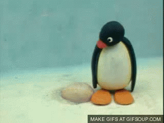 Pingu Noot GIF - Pingu Noot Egg GIFs