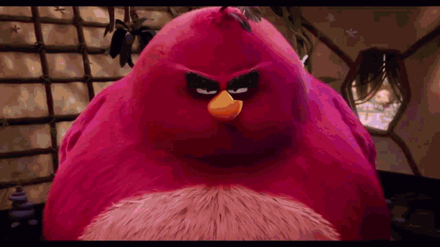 a pink bird with a yellow beak and black eyes