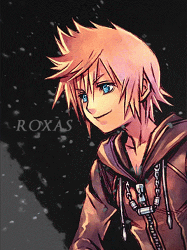 Roxs Kingdom Hearts GIF - Roxs Kingdom Hearts GIFs