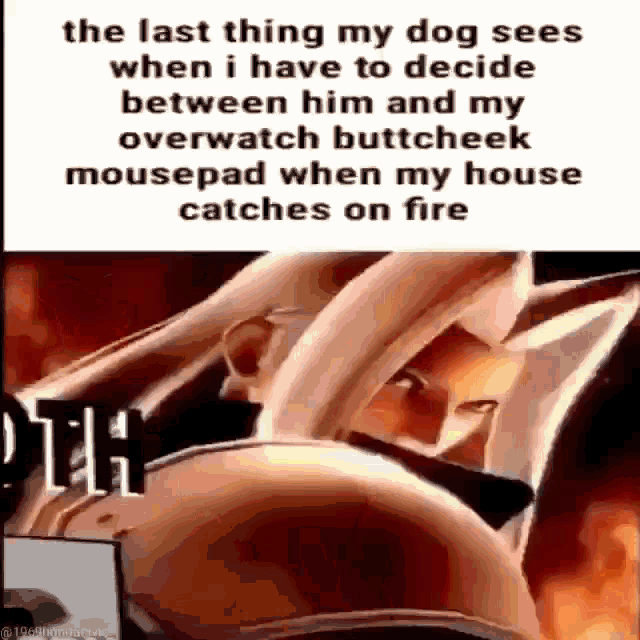 the last thing my dog sees when i have to decide between him and my overwatch buttcheek mousepad when my house