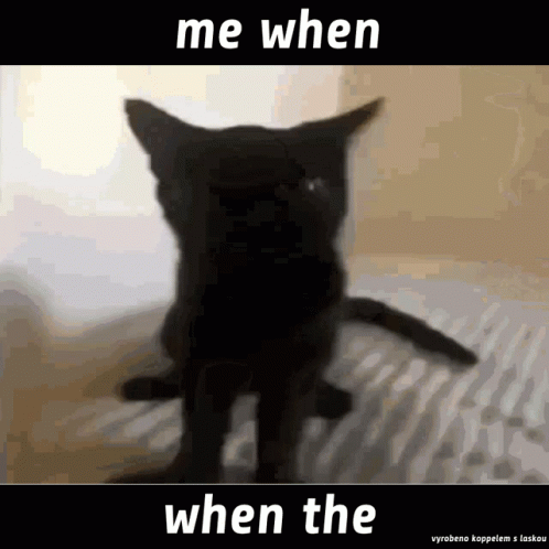 Cat Me When The GIF - Cat Me When The GIFs