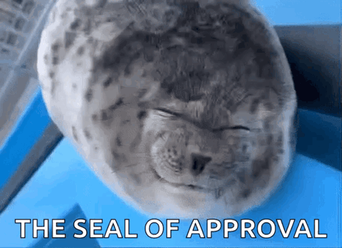 Silly Seal Seal GIF