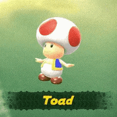 a cartoon toad with a red and white mushroom on his head .