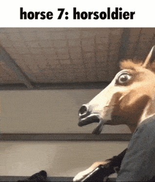 a person wearing a horse mask with the words horse 7 : horsoldier above it