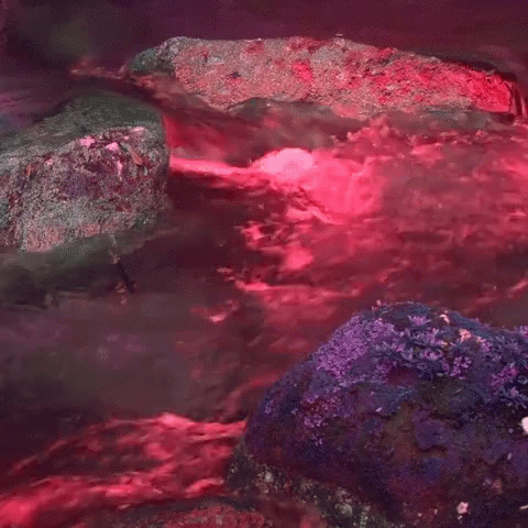 Aesthetic River GIF - Aesthetic River Lights GIFs