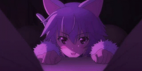Cat Anime GIF