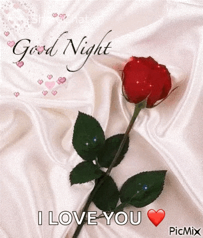 a red rose is sitting on top of a white cloth with the words `` good night i love you '' written on it .