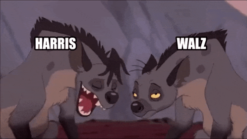 two hyenas are standing next to each other and one of them is named harris
