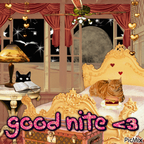 a picture of a bedroom with a cat on a bed and the words good nite on the bottom