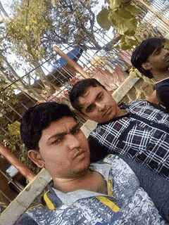 two men are posing for a picture and one has a yellow collar