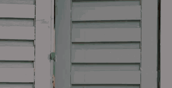 a woman is peeking out of a window with shutters open .