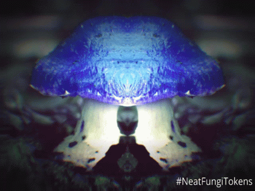 Mushroom Fungus Fungi Psychedelic Nft Neatfungitoken Lsd Acid Trippy GIF