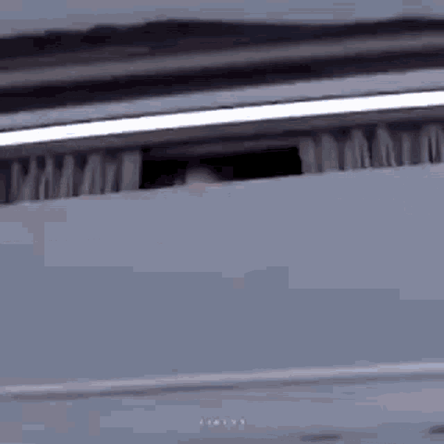 a person is sticking their head out of a window of a car .