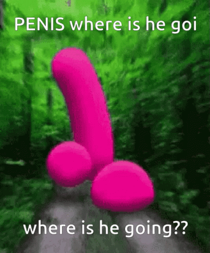 Penis Where Is He Going Cock GIF - Penis Where Is He Going Cock Balls GIFs