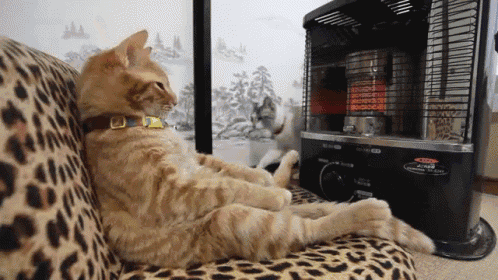 a cat laying on a couch next to a heater