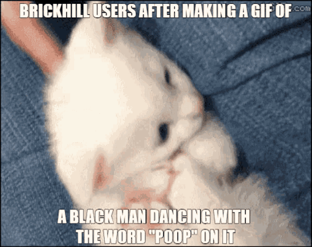 Brickhill Brickhill Users GIF - Brickhill Brickhill Users Brickhill Poop GIFs