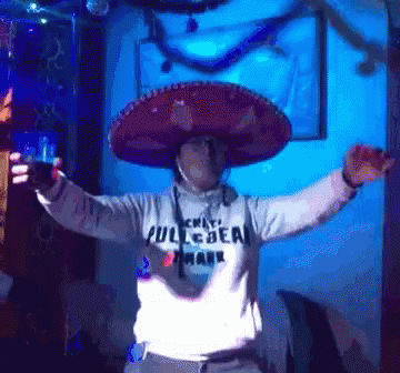 Party Hard Party GIF - Party Hard Party Mexico GIFs