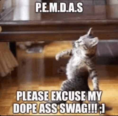 a kitten is standing on its hind legs in front of a table and says please excuse my dope ass swag !!!