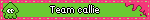 a green and pink banner says team colle