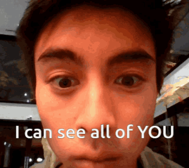 They Are Everywhere I Can See You GIF - They Are Everywhere I Can See You I Can See All Of You GIFs