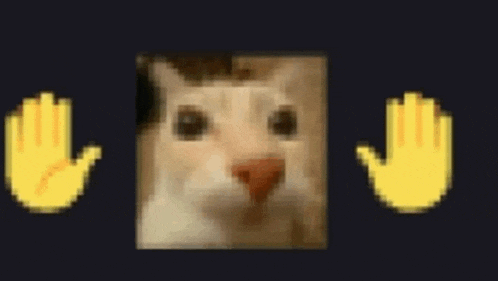 a close up of a cat 's face with two hands in front of it .