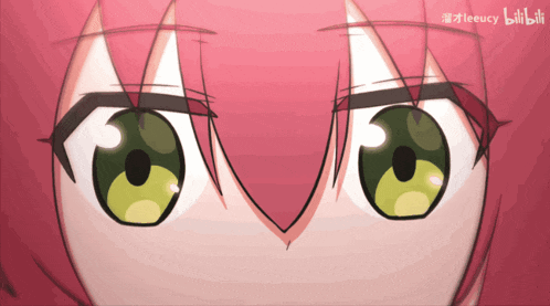 a close up of a girl 's eyes with a watermark that says leeucy