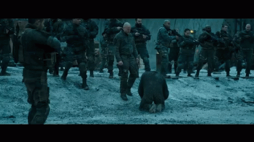 War For The Planet Of Apes Caesar GIF - War For The Planet Of Apes Caesar GIFs
