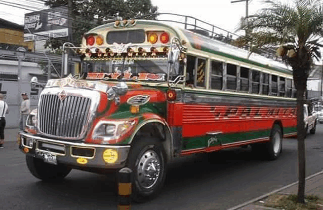 a red , green and white bus is driving down the street .