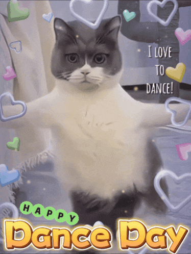 a happy dance day greeting card with a cat and the words " i love to dance "
