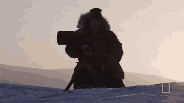Taking A Photo National Geographic GIF - Taking A Photo National Geographic Photographer Captures Stunning Arctic Wildlife GIFs