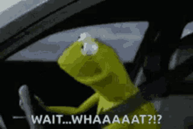 a kermit the frog is driving a car and says wait whaaaat ?