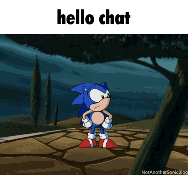 a picture of sonic the hedgehog with the words hello chat above him