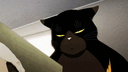 a black cat with yellow eyes looks at something