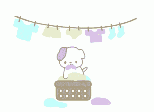 a dog is sitting in a laundry basket with clothes hanging on a line