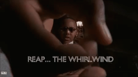 Stevie Reap The Whirlwind GIF - Stevie Reap The Whirlwind GIFs