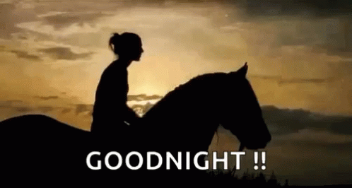 Horse Goodnight GIF - Horse Goodnight Hug GIFs
