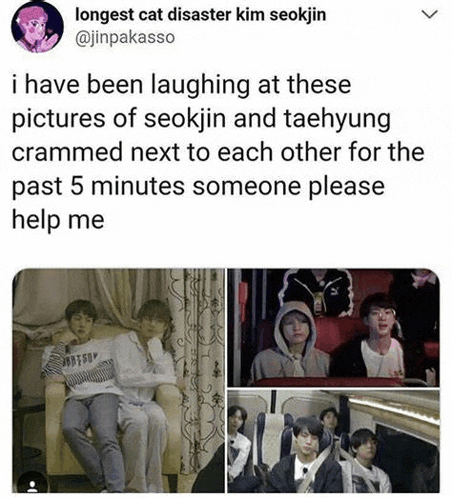 i have been laughing at these pictures of seokjin and taehyung cramming next to each other